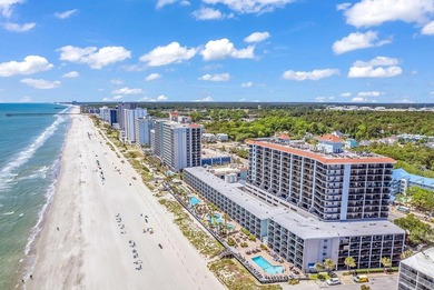 Income-ready Oceanview Condo - Renovated, Furnished & Move-in - photo 44