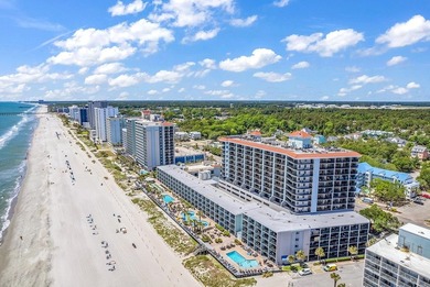 Income-ready Oceanview Condo - Renovated, Furnished & Move-in - photo 47