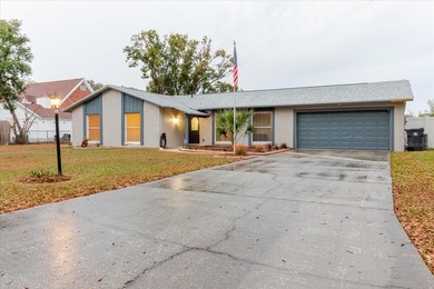 Valrico Lake Home For Sale in Valrico Florida