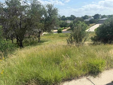 Beautiful lot in Horseshoe Bay West located on Apache Tears - photo 3