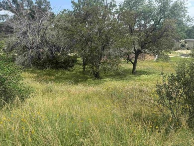 Beautiful lot in Horseshoe Bay West located on Apache Tears - photo 4