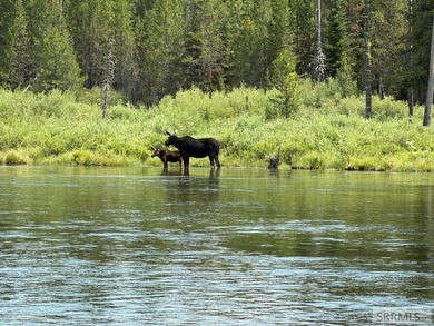 Welcome to one of Island Park's rarest riverfront opportunities - photo 15