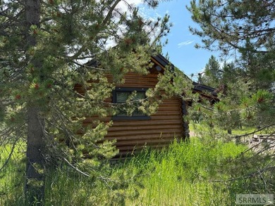Welcome to one of Island Park's rarest riverfront opportunities - photo 31