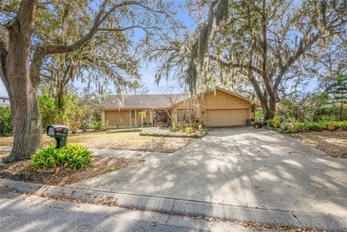 (private lake, pond, coastal) Home For Sale in Palm Harbor Florida