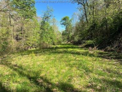 Lake Acreage For Sale in Hamlin, West Virginia