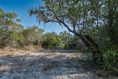 Nestled within an enchanting 9-acre tract, majestic oak trees - photo 3