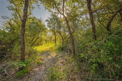 Nestled within an enchanting 9-acre tract, majestic oak trees - photo 4