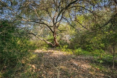 Nestled within an enchanting 9-acre tract, majestic oak trees - photo 5