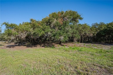 Nestled within an enchanting 9-acre tract, majestic oak trees - photo 6