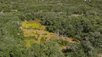 Nestled within an enchanting 9-acre tract, majestic oak trees - photo 7
