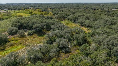 Nestled within an enchanting 9-acre tract, majestic oak trees - photo 8