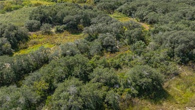 Nestled within an enchanting 9-acre tract, majestic oak trees - photo 9