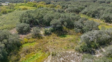 Nestled within an enchanting 9-acre tract, majestic oak trees - photo 10