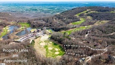 Situated in tranquil northern Greenville county this planned - photo 1