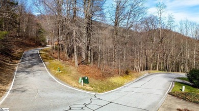 Situated in tranquil northern Greenville county this planned - photo 5