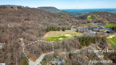 Situated in tranquil northern Greenville county this planned - photo 6