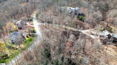 Situated in tranquil northern Greenville county this planned - photo 7