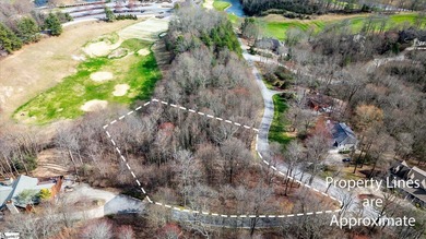 Situated in tranquil northern Greenville county this planned - photo 8