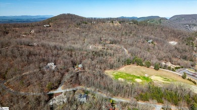 Situated in tranquil northern Greenville county this planned - photo 10