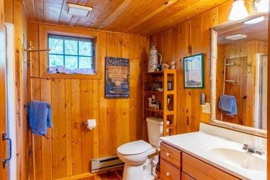 Enchanting 2.6-acre pristine Rainy Lake Island paradise on the U - photo 14