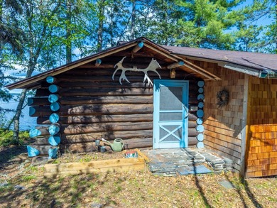 Enchanting 2.6-acre pristine Rainy Lake Island paradise on the U - photo 20