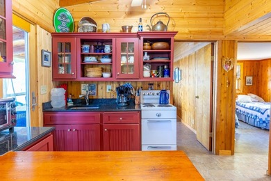 Enchanting 2.6-acre pristine Rainy Lake Island paradise on the U - photo 21