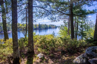 Enchanting 2.6-acre pristine Rainy Lake Island paradise on the U - photo 30