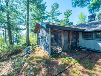 Enchanting 2.6-acre pristine Rainy Lake Island paradise on the U - photo 31