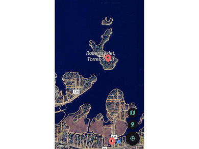 Enchanting 2.6-acre pristine Rainy Lake Island paradise on the U - photo 57