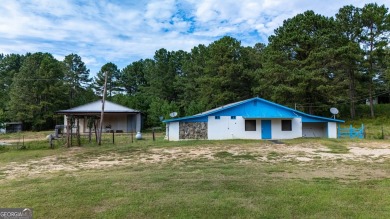 West Point Lake Commercial For Sale in Lagrange Georgia