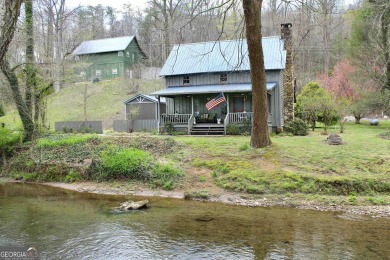 Nottely River Home For Sale in Blairsville Georgia