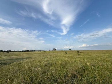 579.98+/- Acres of Prime Southeast Oklahoma Ranch Country in - photo 2