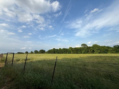 579.98+/- Acres of Prime Southeast Oklahoma Ranch Country in - photo 7