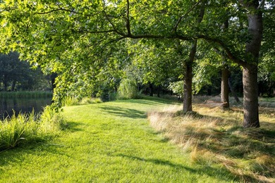 Located in the heart of Bridgehampton South, just over a mile - photo 4