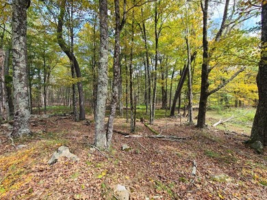 An exceptional opportunity in the heart of the Sullivan - photo 29