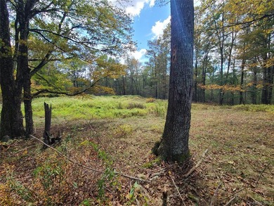 An exceptional opportunity in the heart of the Sullivan - photo 30