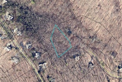 (private lake, pond, creek) Lot For Sale in Big Canoe Georgia