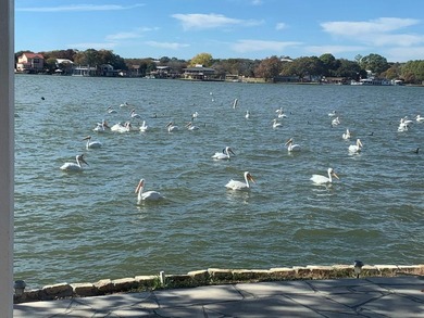 92 feet of improved Lake LBJ waterfront with open water views - photo 5