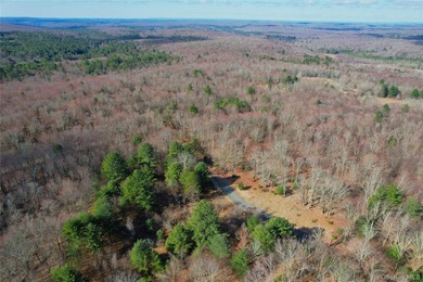 An exceptional opportunity in the heart of the Sullivan - photo 37