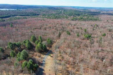 An exceptional opportunity in the heart of the Sullivan - photo 38