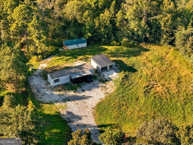 (private lake, pond, creek) Home For Sale in Cornelia Georgia