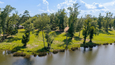 Enjoying a prime waterfront setting along beautiful Big Rock - photo 3