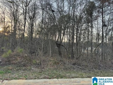 Lake Lot For Sale in Pell City, Alabama