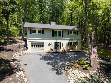 Stunning renovated contemporary with a park like setting perched - photo 1