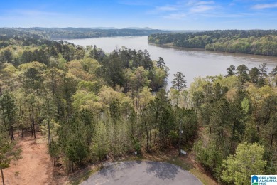 Lay Lake Lot For Sale in Sylacauga Alabama
