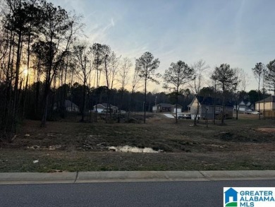 Lake Lot For Sale in Pell City, Alabama