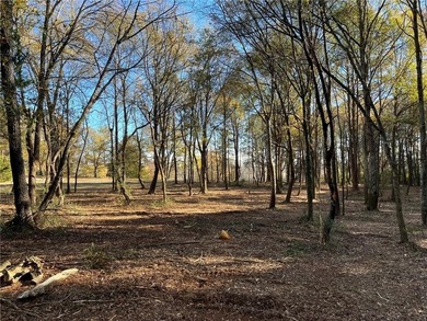 Beautiful Mid-Century Modern Cedar Sided Rach on over 15 acres - photo 42