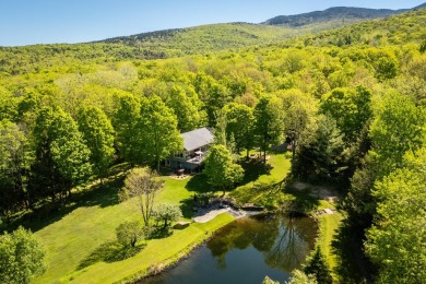 Lake Home For Sale in Sutton,
