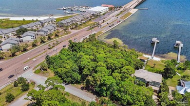 Don't miss this rare opportunity to own a half-acre waterfront - photo 7