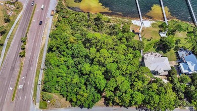 Don't miss this rare opportunity to own a half-acre waterfront - photo 8